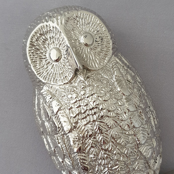 Nickel Owl Front  Door Knocker